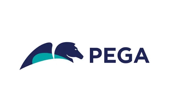 Pegasysteme